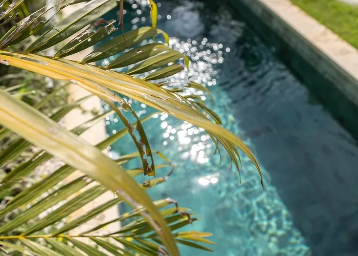 Sunny Canggu 2 Bedroom Private Pool By Bali Bliss * Denpasar (Bali)
